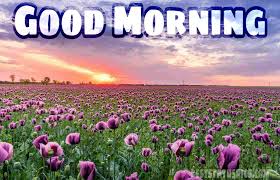 Check spelling or type a new query. 911 Beautiful Good Morning Nature Hd Images Pics 2021 Best Status Pics