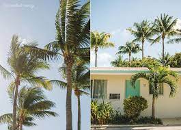 A Miami Family Vacation Key Biscayne Miami Photography Silver Sands Beach Resort Caroline Maxcy Photography Beach Resorts Beach Sand Key Biscayne