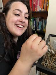 What to feed a praying mantis that won't eat crickets or worms?