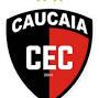 caucaia soccer from en.wikipedia.org
