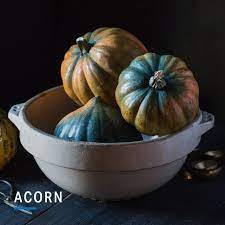 Why You Should Definitely Eat More Squash Nutrition Myfitnesspal Squash Nutrition Keto Friendly Vegetables High Carb Foods
