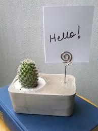 Vaso De Concreto Aprenda A Confeccionar A Peca Desejo Do Momento Concreto Diy Concreto Decorativo Vasos