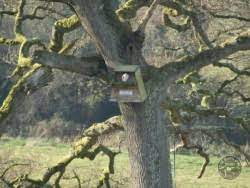 Place two hooks on the inside of the door to keep the lid closed during inclement weather. Barn Owl Boxes For Trees The Barn Owl Trust