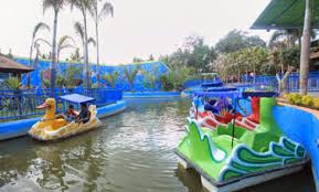 Tempat wisata di jember ini memadukan konsep wisata air dan perkebunan. 8 Kolam Renang Di Jember Kota Jawa Timur Indoor Terbagus Jam Buka Tutup Dengan Fasilitas Paling Bagus Jejakpiknik Com