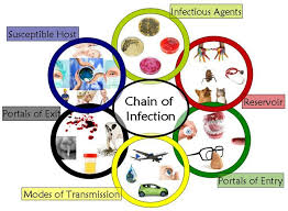 chain of infection poster google search chain of