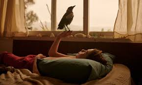 #penguinbloommovie, starring naomi watts, in cinemas january 21.penguin bloom tells the true story. Penguin Bloom Review Naomi Watts And Charming Magpies Star In Heavy Handed Film Film The Guardian