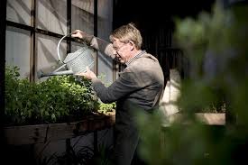 Download Premium Image Of Elderly Man Watering Plants With A Metal Can In 2020 Water Plants Gardening Photography Elderly Man