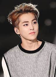 Xiumin was born in guri, gyeonggi province, south korea, on march 26, 1990. Exo Member Profile And Facts Xiumin Internet Rebels