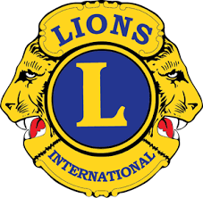 Free Free 349 Express Lion Logo Svg SVG PNG EPS DXF File