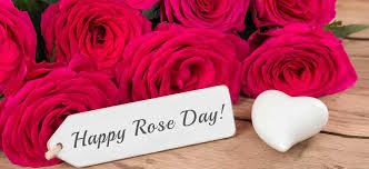 Valentine Week Valentine S Day Week Generally, the red rose symbolizes love. valentine week valentine s day week