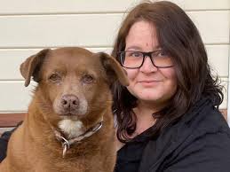 Das sind wir Kleintierpraxis Petersen in Winnert