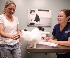 Our team of doctors and staff have an affinity for animals and providing comprehensive. Homepage Bluepearl Pet Hospital