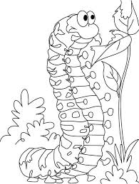 Caterpillar Satisfying Hunger Coloring Pages Download Free Caterpillar Satisfying Hunger Colorin Butterfly Coloring Page Insect Coloring Pages Coloring Pages