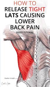 As a whole, hip flexors contract. Latissimus Dorsi Pain Release Effective Technique