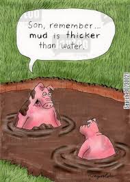 Ready to ship in 1 business day. Quotes About Pigs In Mud 21 Quotes