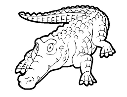 Animasi gambar hewan hitam putih. 24 Gambar Harimau Kartun Hitam Putih Kumpulan Gambar Hitam Putih Bw Untuk Diwarnai Download Harimau Bengal Dan Gaya Kart Gambar Gambar Hewan Gambar Kartun