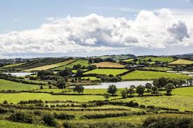 Hedgerow Week Kicks Off Amid Planting Season 07 December 2020 Free