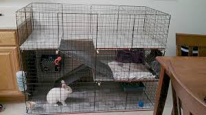 Your rabbits' enclosure should be as large as possible but the minimum size for a rabbit enclosure for two rabbits should be 3m (length) x 1.5m (width) x 1m (height) as recommended by the rabbit welfare association and fund. How To Build An Indoor Bunny Cage Bunny Cages Diy Rabbit Cage Diy Bunny Cage