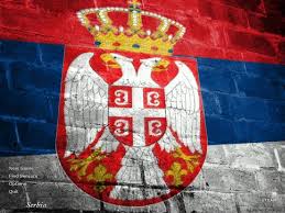 Vote for the top minecraft servers. Serbia Flag On Wall Counter Strike 1 6 Mods