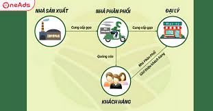 Khái Niệm Cơ Bản Về Đại Lý Và Nhà Phân Phối