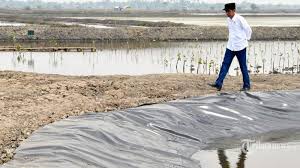 Mantan Menteri Pertanian Dukung Dipasena Masuk Proyek Strategis Nasional Tribunnews Com Mobile