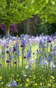 Top 10 Plants To Perk Up The Fall Garden Autumn Garden Perennial Garden Design Wildflower Garden