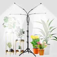 We did not find results for: Top 10 Indoor Grow Lights Of 2021 Best Reviews Guide