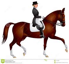 Resultado de imagem para uniforme de uma prova de dressage