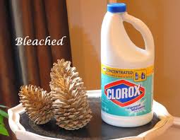 Try Peroxide Instead Of Bleach Mix With Unbleached Cones Just Judy Decora Bleach Cones D Tannenzapfen Kunst Mit Tannenzapfen Basteln Tannenzapfen