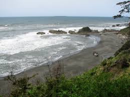 Tidepool Activities Olympic National Park U S National