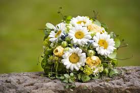 We did not find results for: Hochzeitsblumen 3 Sorten Die Gar Nicht Passen Servus