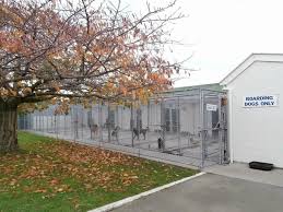 Boarding Kennels Spca Canterbury Animal Shelter Animal Shelter Kennel Spca