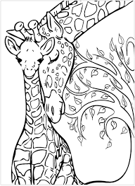 Here are some free printable realistic giraffe coloring pages. Baby Giraffe And His Mother Giraffes Adult Coloring Pages