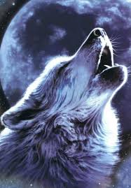 179 Fondos De Pantalla Para Celular Android Iphone Informacion Imagenes Imagenes De Lobos Fondo De Pantalla Lobo Lobos