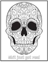 The Swear Word Coloring Book Hannah Caner Macmillan