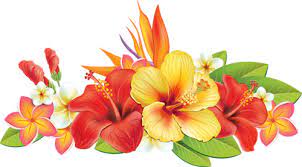 Pin On Festa Havaiana
