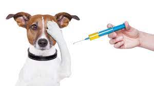 The diseases your dog can be vaccinated against differ depending upon where you are. Vaccine Clinic Companions