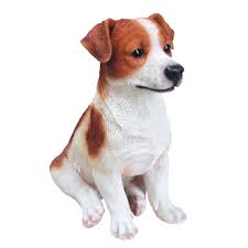 The jack russell terrier is a charming, intelligent and lively little dog. Vivid Arts Xrl Sjac A Sitting Jack Russell Dog Resin Ornament On Onbuy