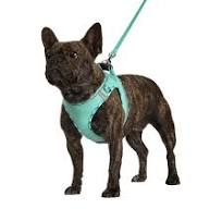 Voovpet Brand No Pull Adjustable Reflective Step-in with Padded Vest, Dog  Harness with Leash Set for Extra-Small/Small Medium Large Dogs and Cats