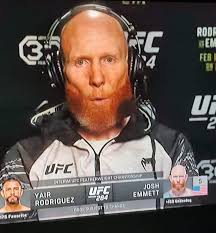 Should Bautista be cut from the UFC for unwatchable fights