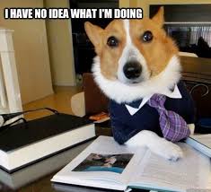 I Have No Idea What I M Doing Dog Memes Funny Dog Memes Lawyer Jokes