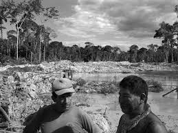 Grab weapons to do others in and supplies to bolster your chances of survival. Blood Gold In The Brazilian Rain Forest The New Yorker