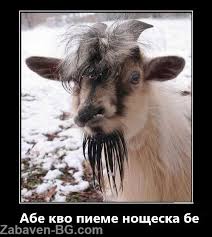 images?q=tbn:ANd9GcQb9uwa6csg2KDwrJ-GcQ4