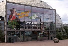 Maybe you would like to learn more about one of these? Randers Regnskov Bliver Herre Under Egne Kupler Randers