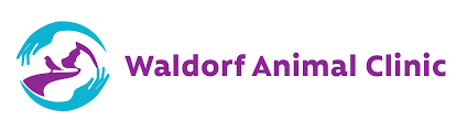 Welcome to Waldorf Animal Hospital | Charles County Veterinary Hospital