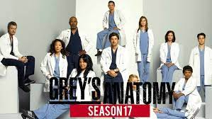 There is no time for niceties welcoming you back to the world of grey sloan memorial because, um. Greys Anatomy Is Adding A New Star To Season 17 Daily Research Plot