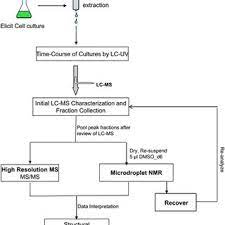 Maybe you would like to learn more about one of these? 1 Showing The Flow Chart Of Production Of Secondary Metabolites Using Download Scientific Diagram