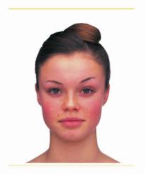 Japanese English Visual Bilingual Dictionary