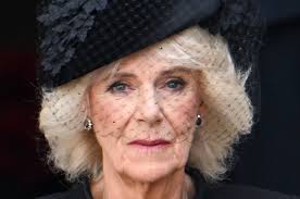 Queen Camilla: inside the life of a reluctant royal