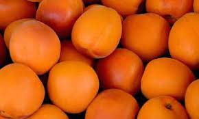 What is hindi name of gac fruit? Date Fruits Date Palm Meaning In Hindi à¤¡ à¤Ÿ à¤ª à¤® à¤• à¤¹ à¤¦ à¤…à¤° à¤¥ Knowledge Love